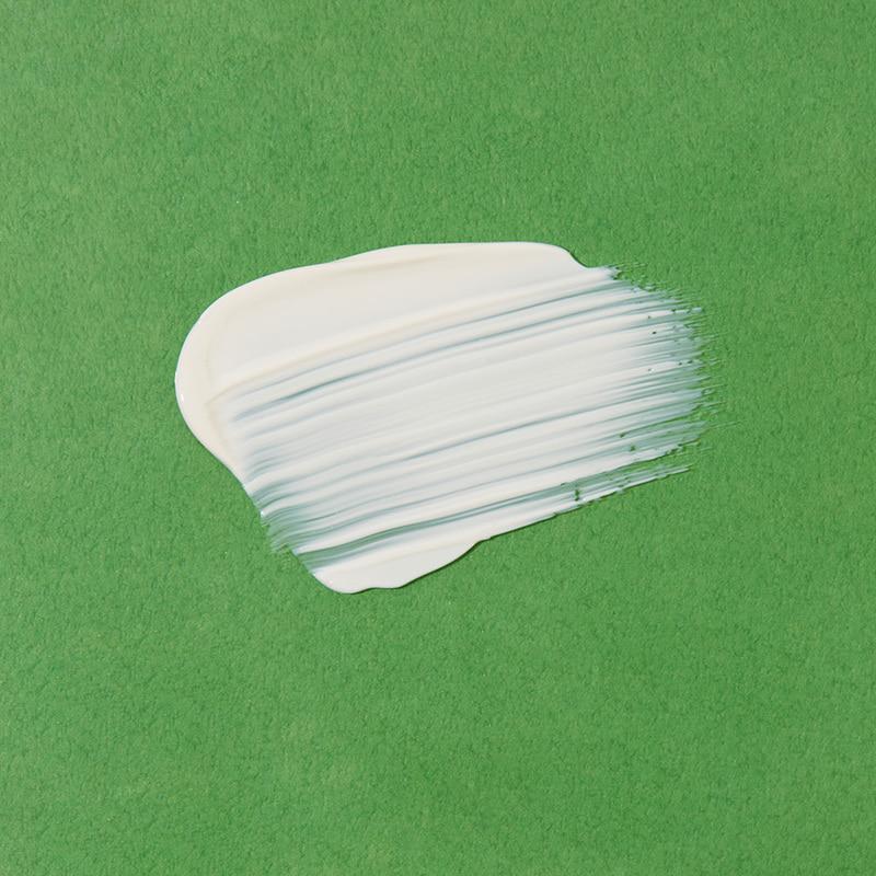 Papa Recipe Tea Tree Control Mild Sun Cream 50ml