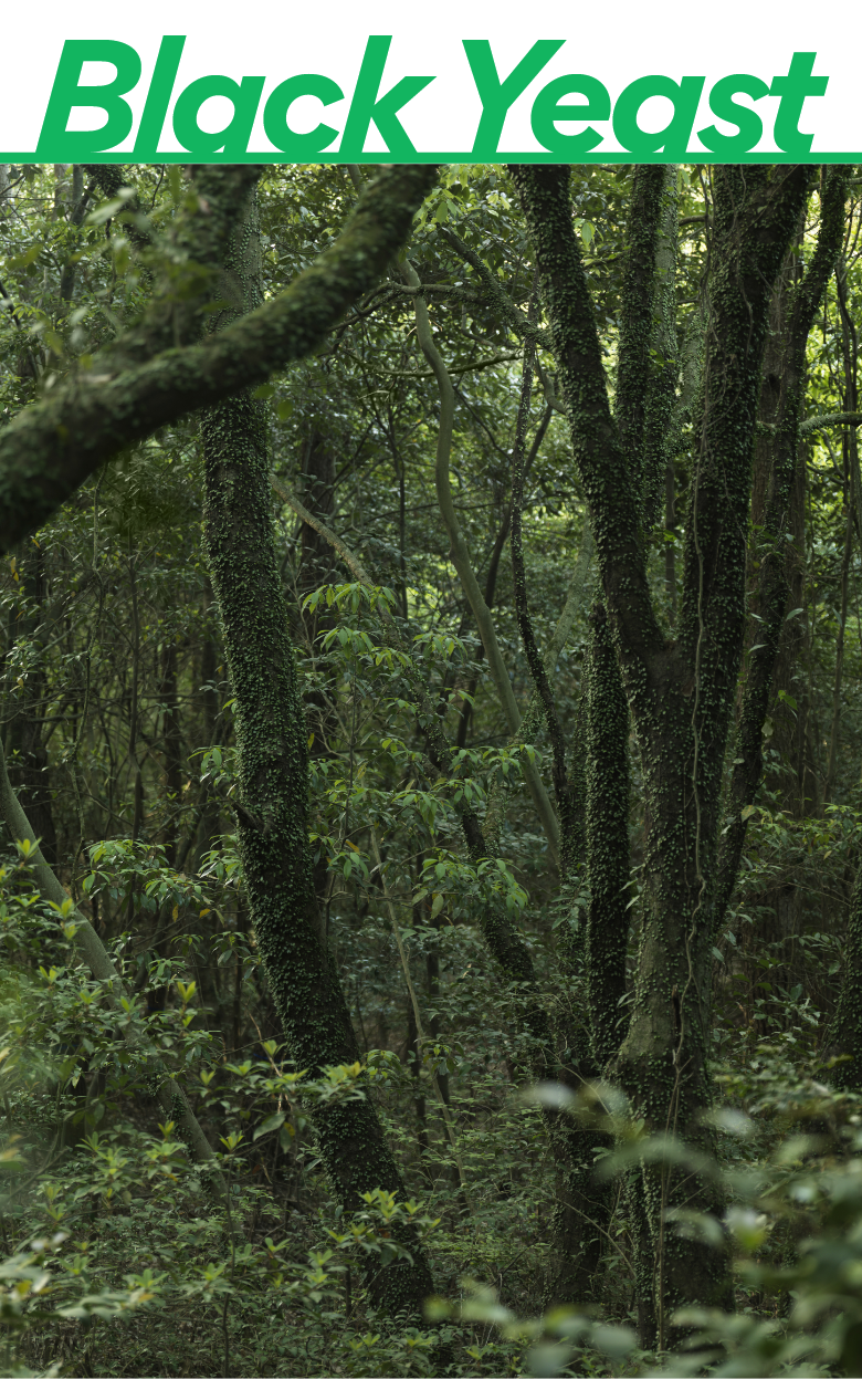 Innisfree Forest For Men Shaving Cleansing Foam 150g