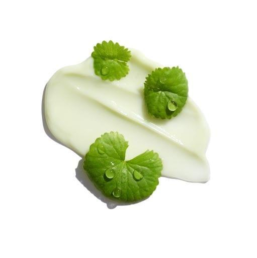 Dr. G Red Blemish Cica S Cream 2X - 70ml