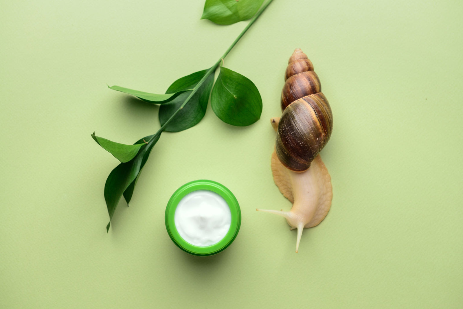 COSRX Snail Mucin