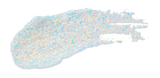 Unleashia Get Loose Glitter Gel Mini 4g - 7 Colors