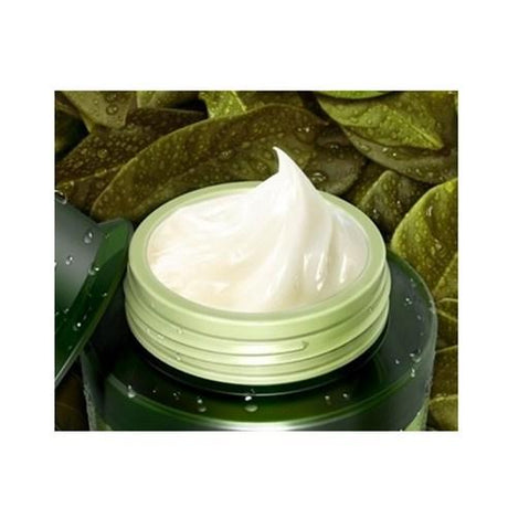 Tony Moly The Chok Chok Green Tea Watery Moisture Cream 100ml